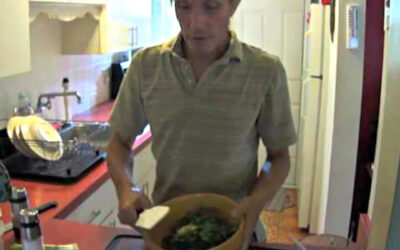 Dijon Chicken Salad with Zucchini and Grapes Recipe & How-To Video