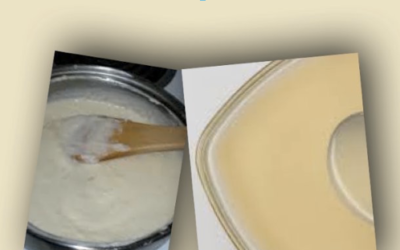 Béchamel or Veloute Starting with the Basics (Recipe Included)