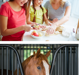 Cooking Therapy – Treasure Coast
