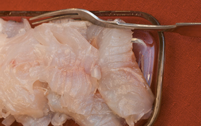 White Fish Gravlax Recipe