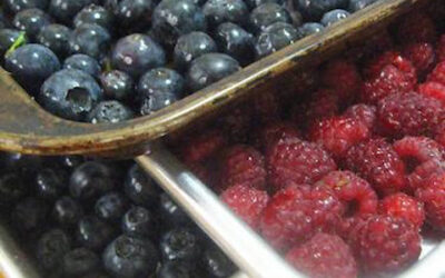 Preserving Berries – Freezing Berries