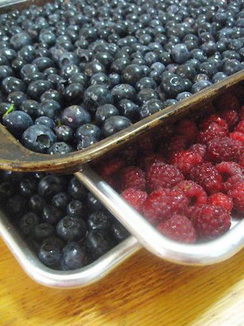 Hutchinson Island Chef Preserving Berries - Freezing Berries