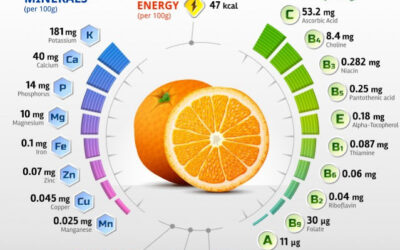 10 good reasons to eat an orange a day
