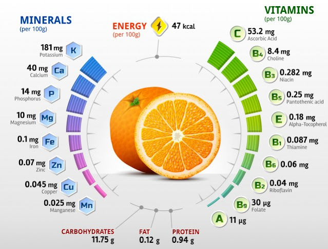 10 good reasons to eat an orange a day