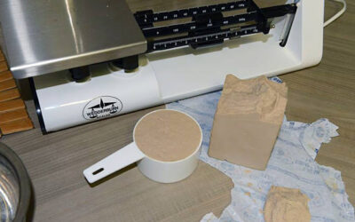 Fresh Yeast vs Instant Yeast