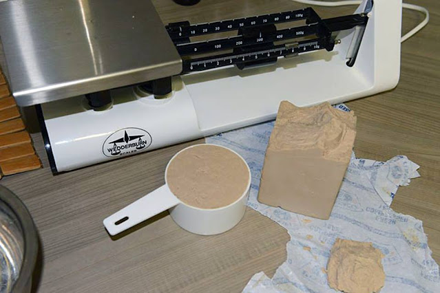 Fresh Yeast vs Instant Yeast