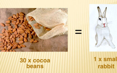 Precious Thing: Chocolate as Currency and Delicacy in Ancient Mesoamerica