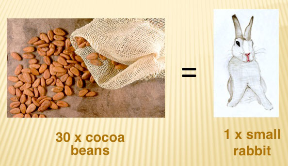 Precious Thing: Chocolate as Currency and Delicacy in Ancient Mesoamerica