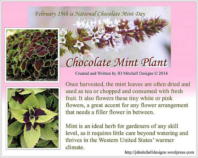 Hutchinson Island Chef Today's Chocolate Mint Day!