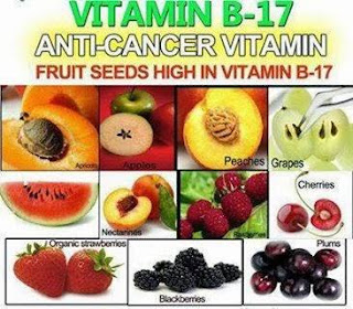 Vitamin B17 – The More You Know