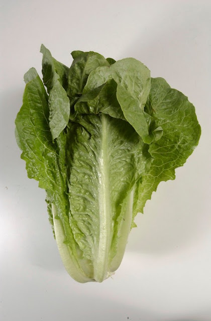 Romaine Riddle: Why the E. Coli Outbreak Eludes Food Investigators