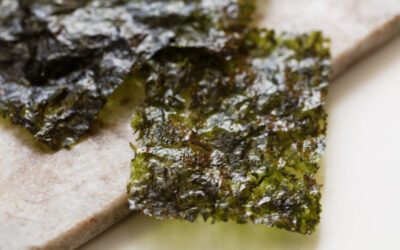 Dietary Seaweed Used To Manipulate Gut Bacteria In Mice