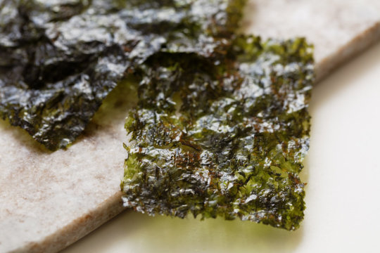 Dietary Seaweed Used To Manipulate Gut Bacteria In Mice