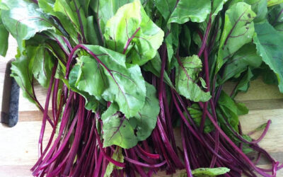 The Buzz On Beet Greens, Roasted Beets and Sautéed Greens – With A Bonus Recipe