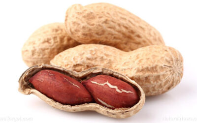 Those Who Snack On Peanuts Eat Less During The Day