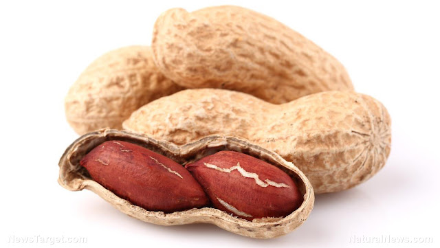 Those Who Snack On Peanuts Eat Less During The Day