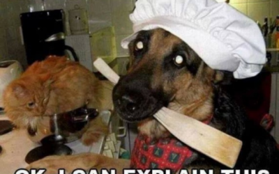 Working Personal Chef Clients Menus