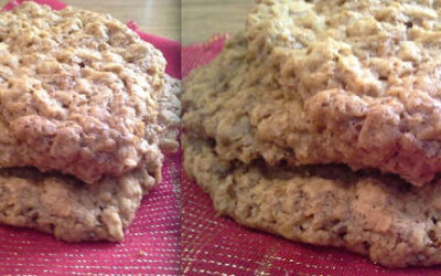 Vegan Oatmeal Cookie Recipe