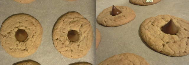 Peanut Butter Cookie Recipe