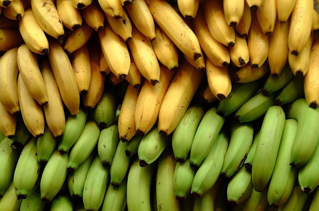 Ripe vs. Unripe Bananas: Which are Better for You?