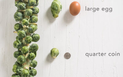 Not All Brussels Sprouts Are Created Equal