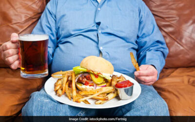Science News: Oversized Meals Have Been Shown To Be A Factor In Obesity