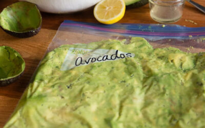 How To Freeze California Avocados