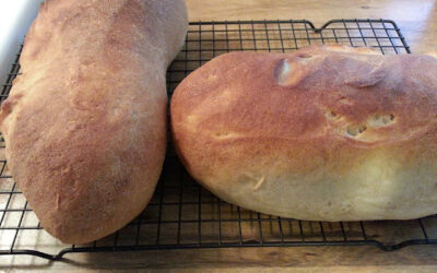 Sourdough turns Carbohydrates into Proteins?