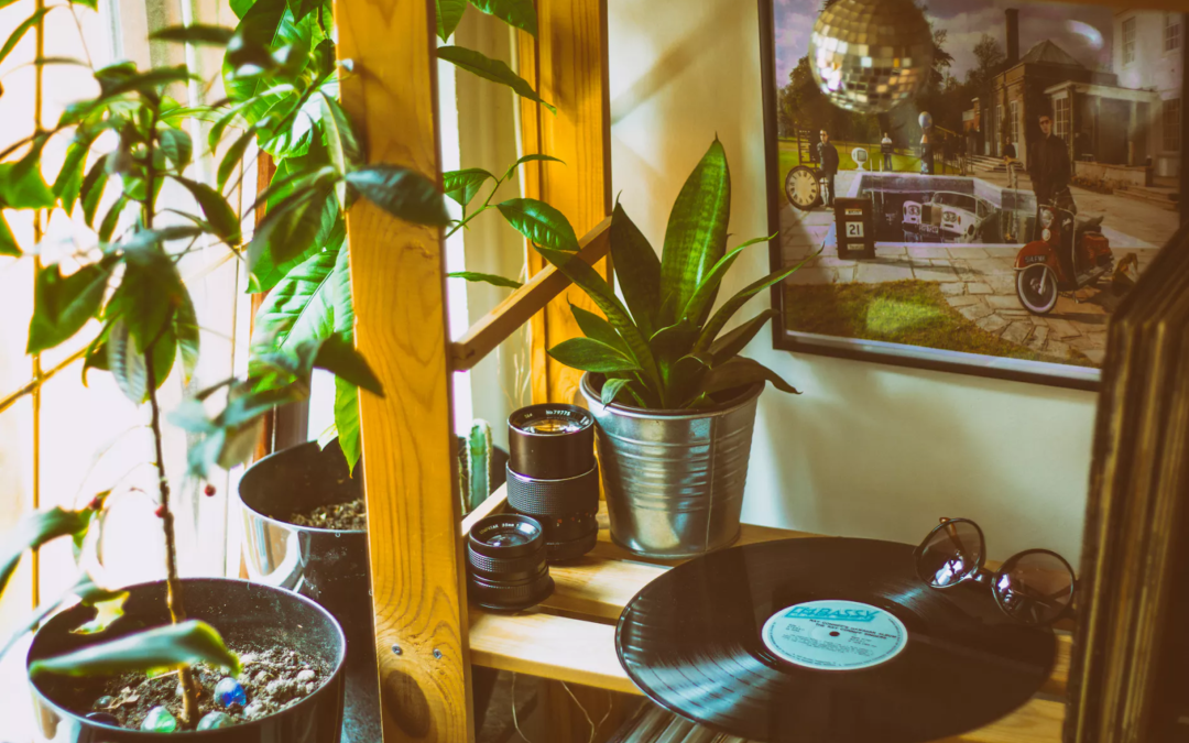 Best Houseplants To Destress Your Home And Purify The Air