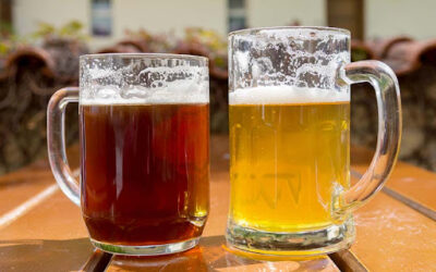 Lager Beer vs. Ale Beer – Does It Matter?