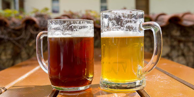 Lager Beer vs. Ale Beer – Does It Matter?