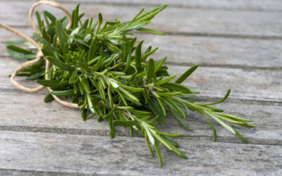 Rosemary!