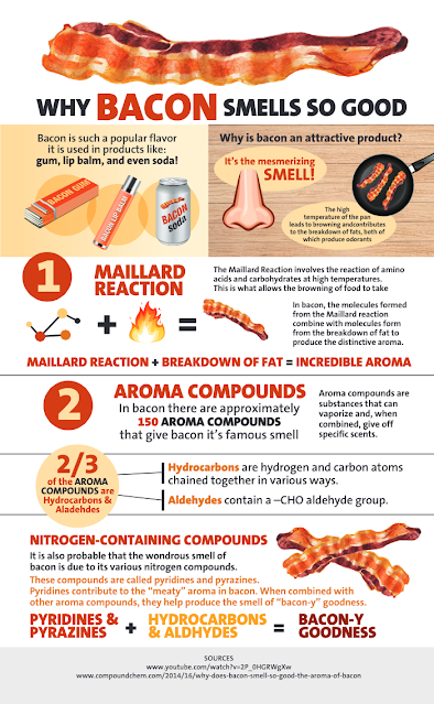 ChemMatters Infographic: Why Bacon Smells So Good