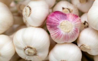 Why Chinese Garlic is Bad: The Ugly Truth