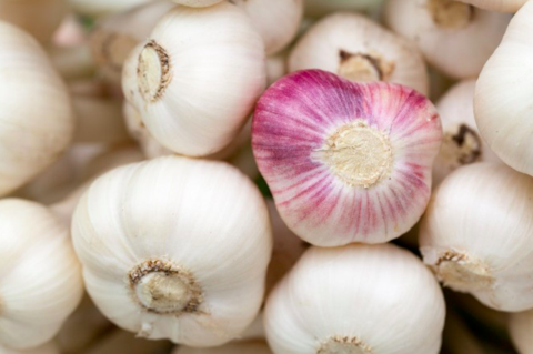 Why Chinese Garlic is Bad: The Ugly Truth