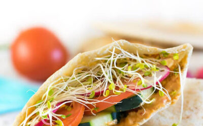 Healthy Lunch Pita Recipe