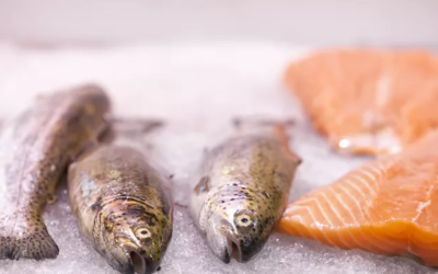 50 Percent of California’s Salmon May Be Extinct in 50 Years, Thanks to Humans