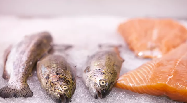 50 Percent of California’s Salmon May Be Extinct in 50 Years, Thanks to Humans