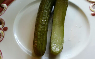 Half Brined Polish Pickles