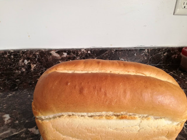 Rustic Semi- Sourdough Sandwich Bread