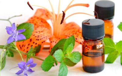 Best Essential Oils For Pain Relief