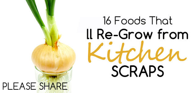 Stuart Personal Chef