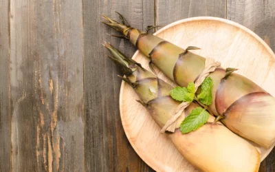 Scientists Are Rethinking Bamboo As a Powerful New Superfood