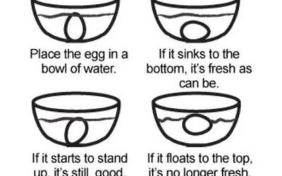 How To Tell if Eggs Are Fresh