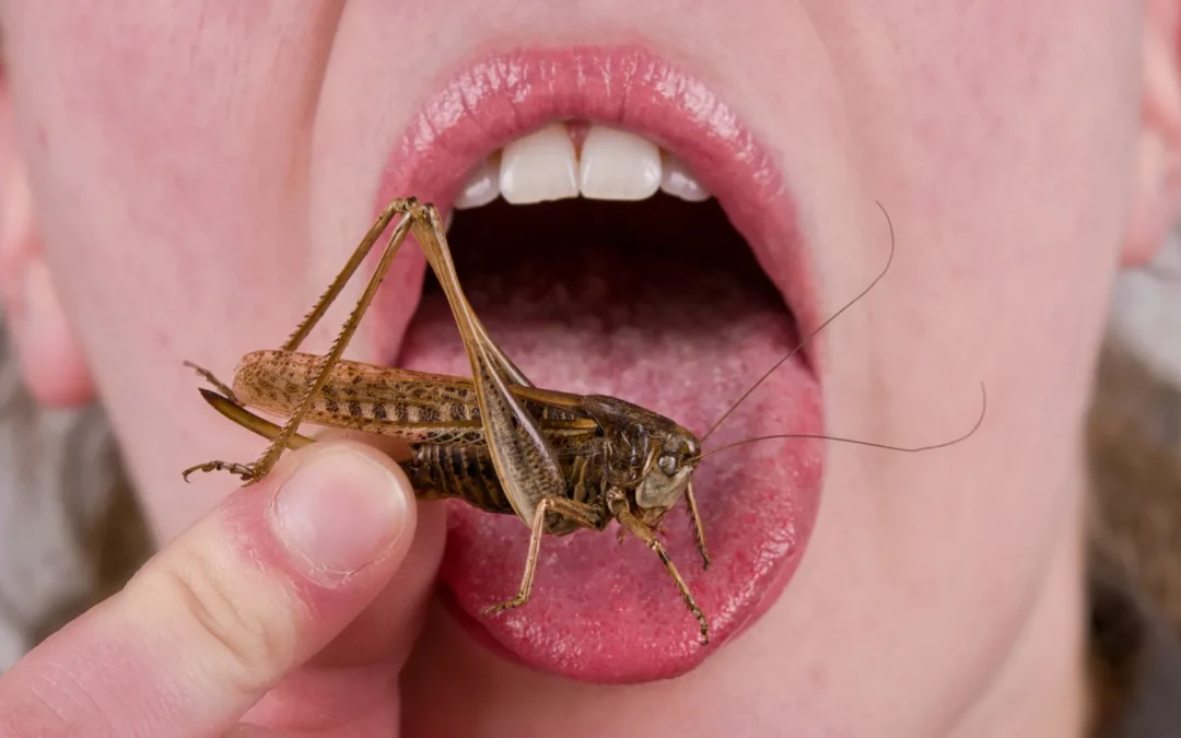 Your Dislike Of Eating Bugs May Be 9,000 Years Old